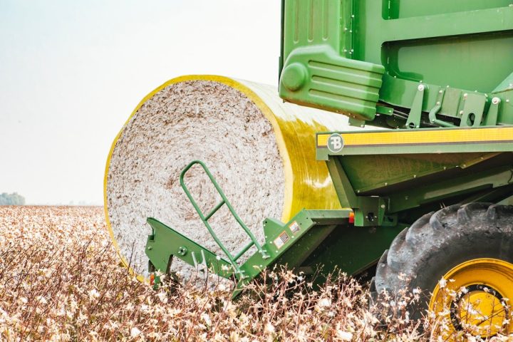 color photograph of a cotton field with a green and white tractor transporting a full cotton bale
